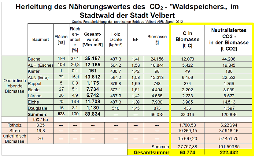 Tabelle zur Herleitung des Näherungswertes des CO2-"Waldspeichers"